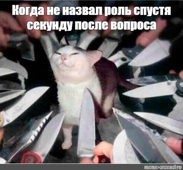 Кот с ножами вокруг Мем