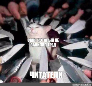 Котик с ножом Мем