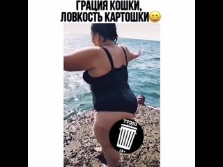 Грация кошки ловкость картошки