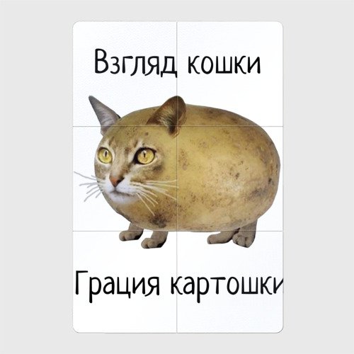 Кошка картошка