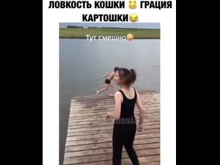 Грациозность кошки ловкость картошки