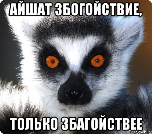 Мемы про Айшат