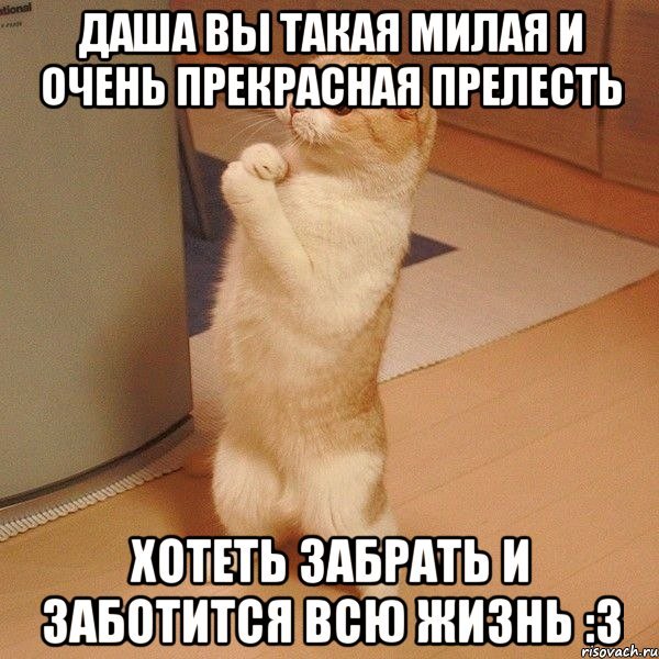 Прости меня Ксюша