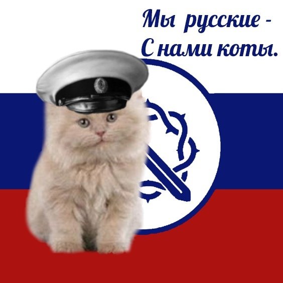 Я русский кот