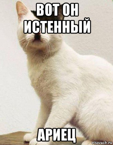 Ариец Мем