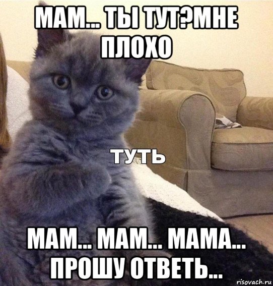 Ты туть