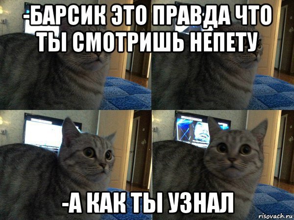 Инспектор кот Мем