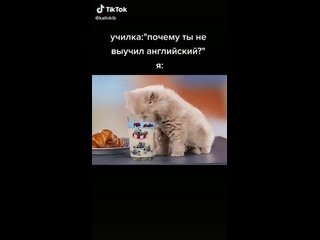Я русский кот молоко