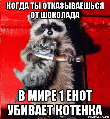 Мемы с енотами