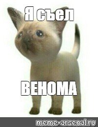 Я русский Мем с котом