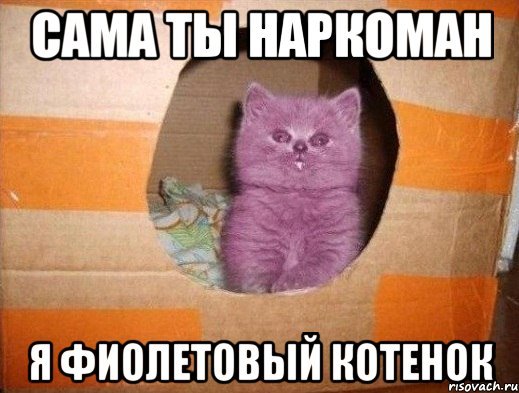 Кот юморист