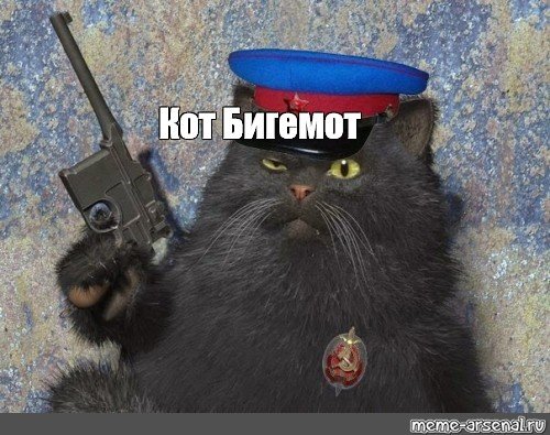 Я русский Мем с котом
