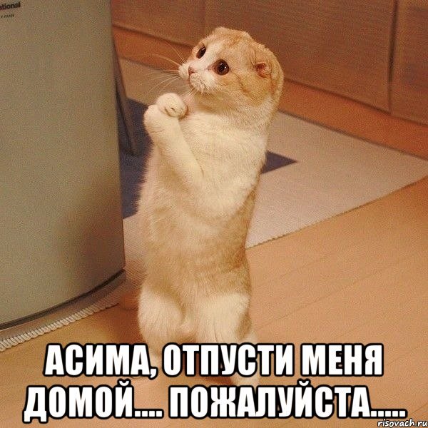 Мам дай денег