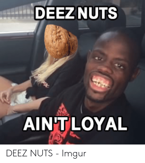 Nutted мемы