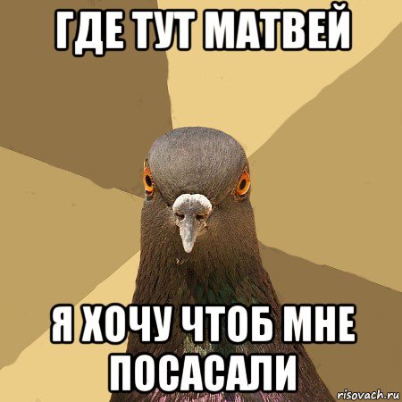 Шутки про Матвея