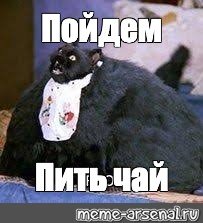 Мем пойдем кот