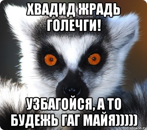 Мемы про Майю