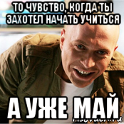Майя Мем