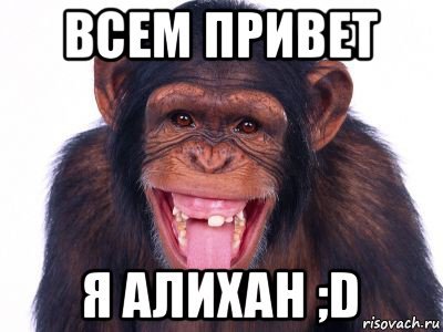 Обезьяна Мем