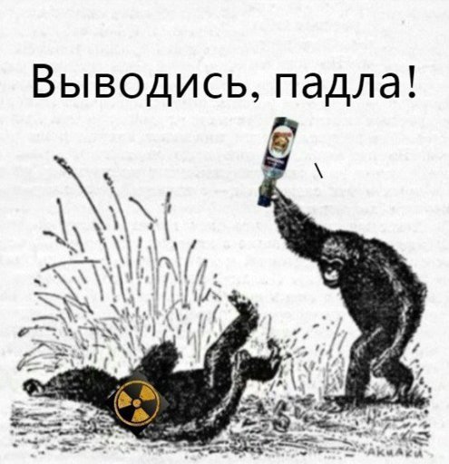 Ежик бунт Смешарики Мем
