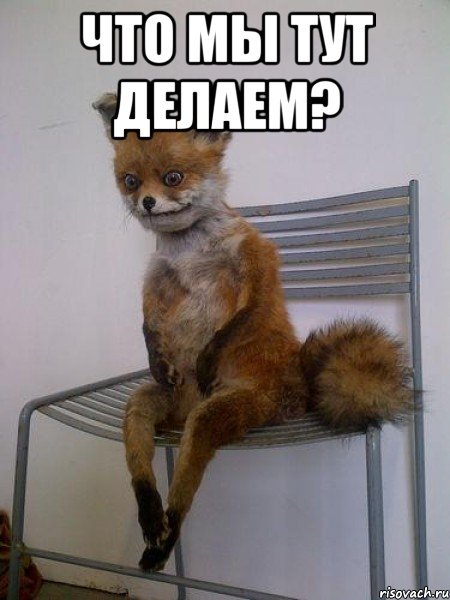 Упоротый Лис фильм