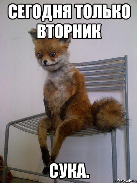 Лис Мем