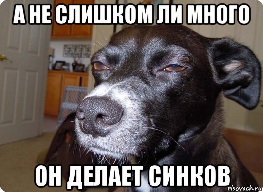 Собака из пива