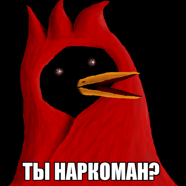 Птицы Омска