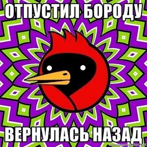 Омская птица мемы лучшие
