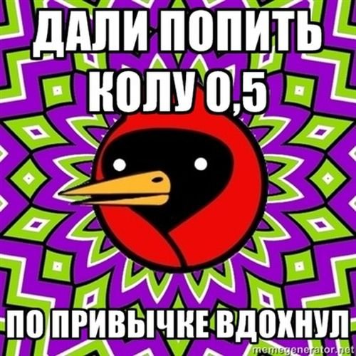 Каламбур Омская птица
