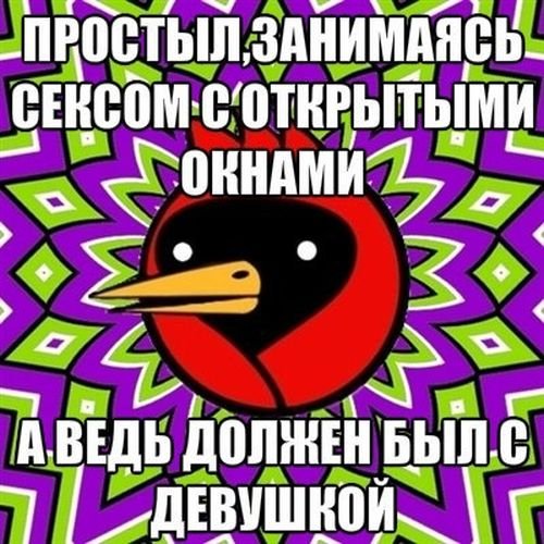 Дятел омич Мем