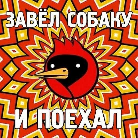 Каламбур Омская птица