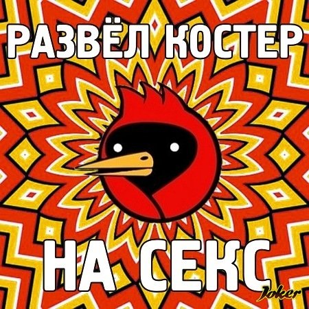 Омская птица