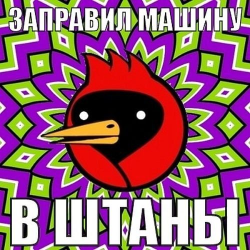 Наркоманская Омская птица