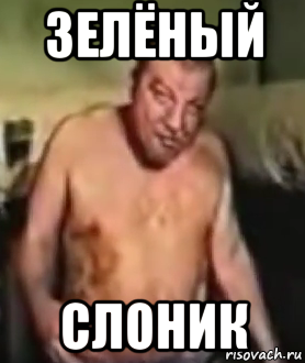 Зеленый Слоник цитаты