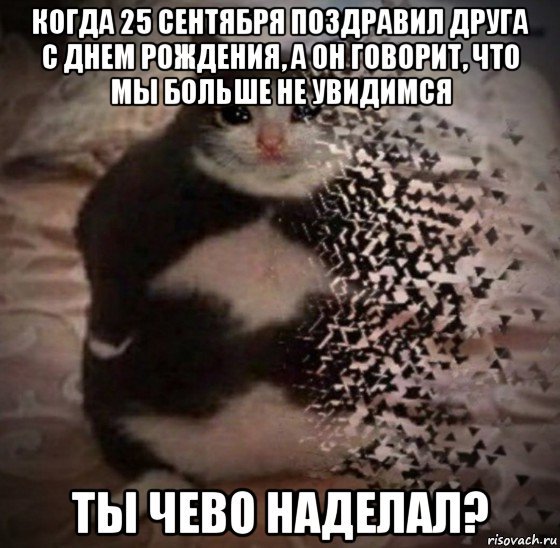 Ты чего наделал Мем