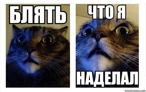 Что я наделал Мем