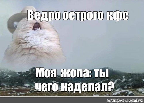 Кот растворяется Мем