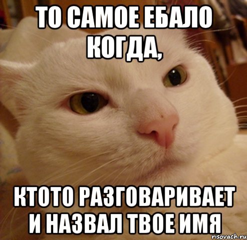 Ляйсан Мем