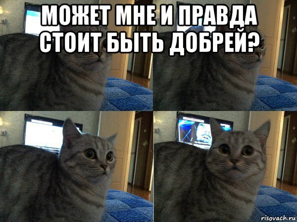 Добрый кот из мема