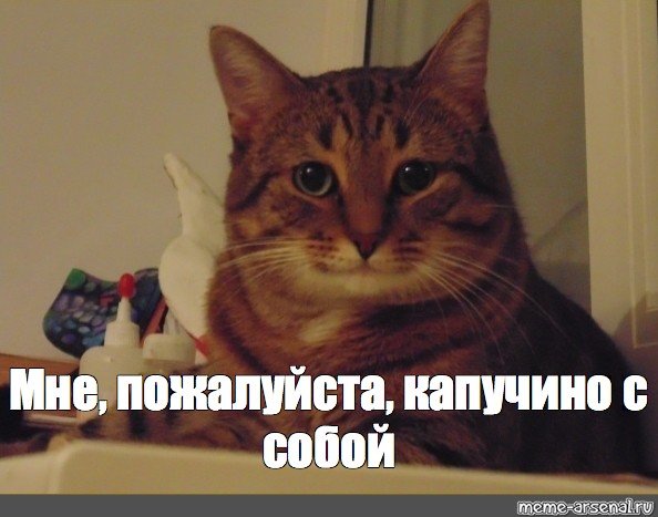 Довольный кот Мем