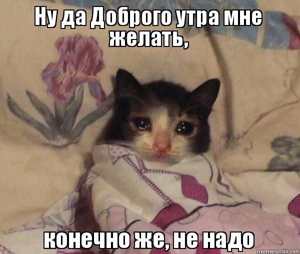 Где моё доброе утро