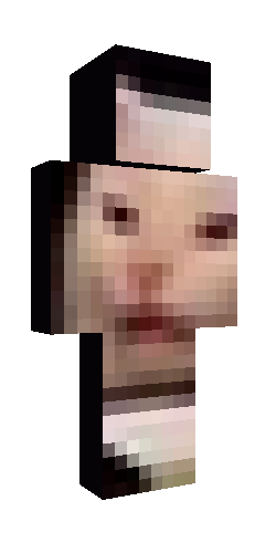 Скин майнкрафт Мем