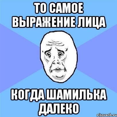 Смешные шутки про Шамиля