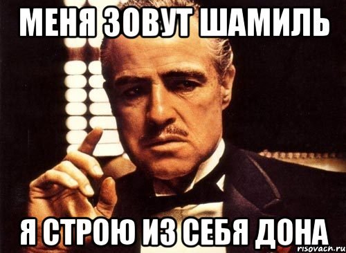 Мемы про Шамиля