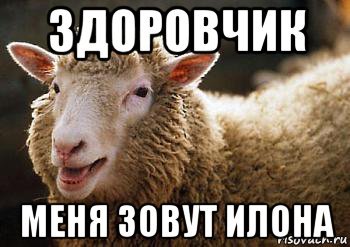 Смешные мемы про Илону
