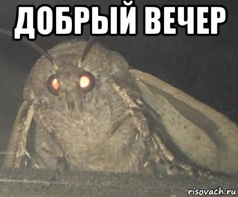 Добрый вечер мемы