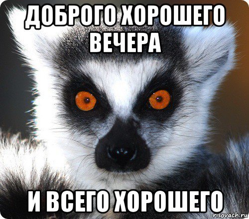 Хорошего вечера Мем