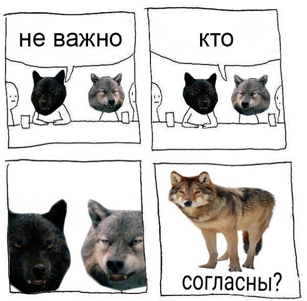 Мемы волк согласны