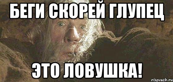 Бегите отсюда глупцы